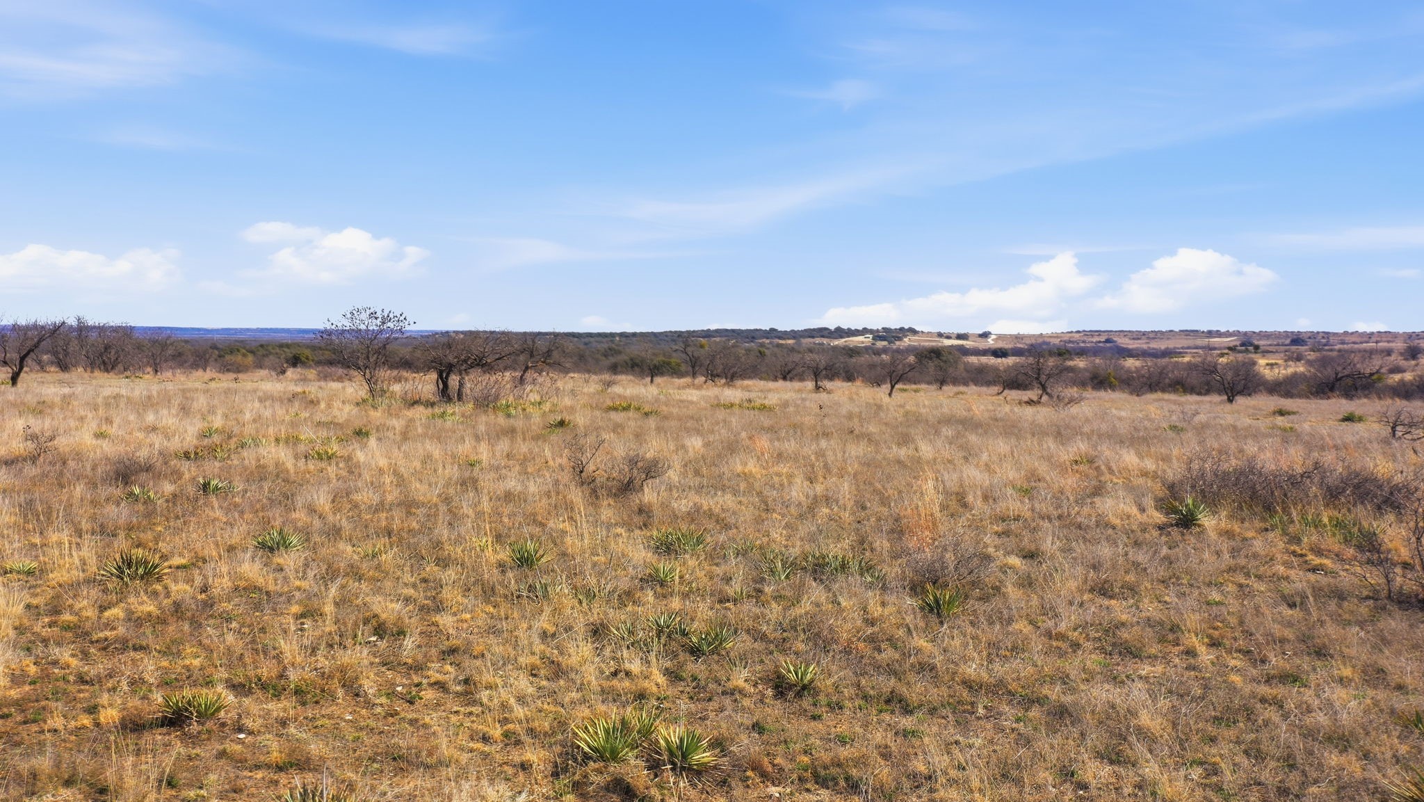 Lot 44 County Road 266, Gustine, TX, 76455