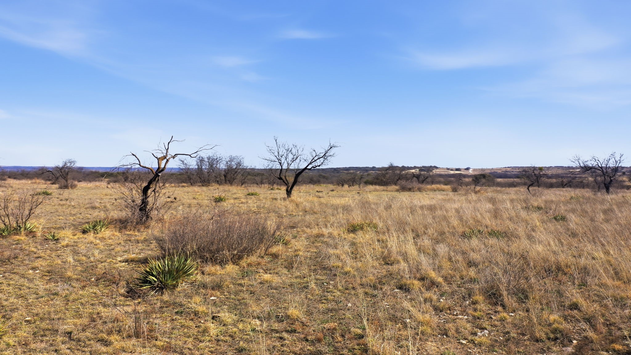 Lot 44 County Road 266, Gustine, TX, 76455