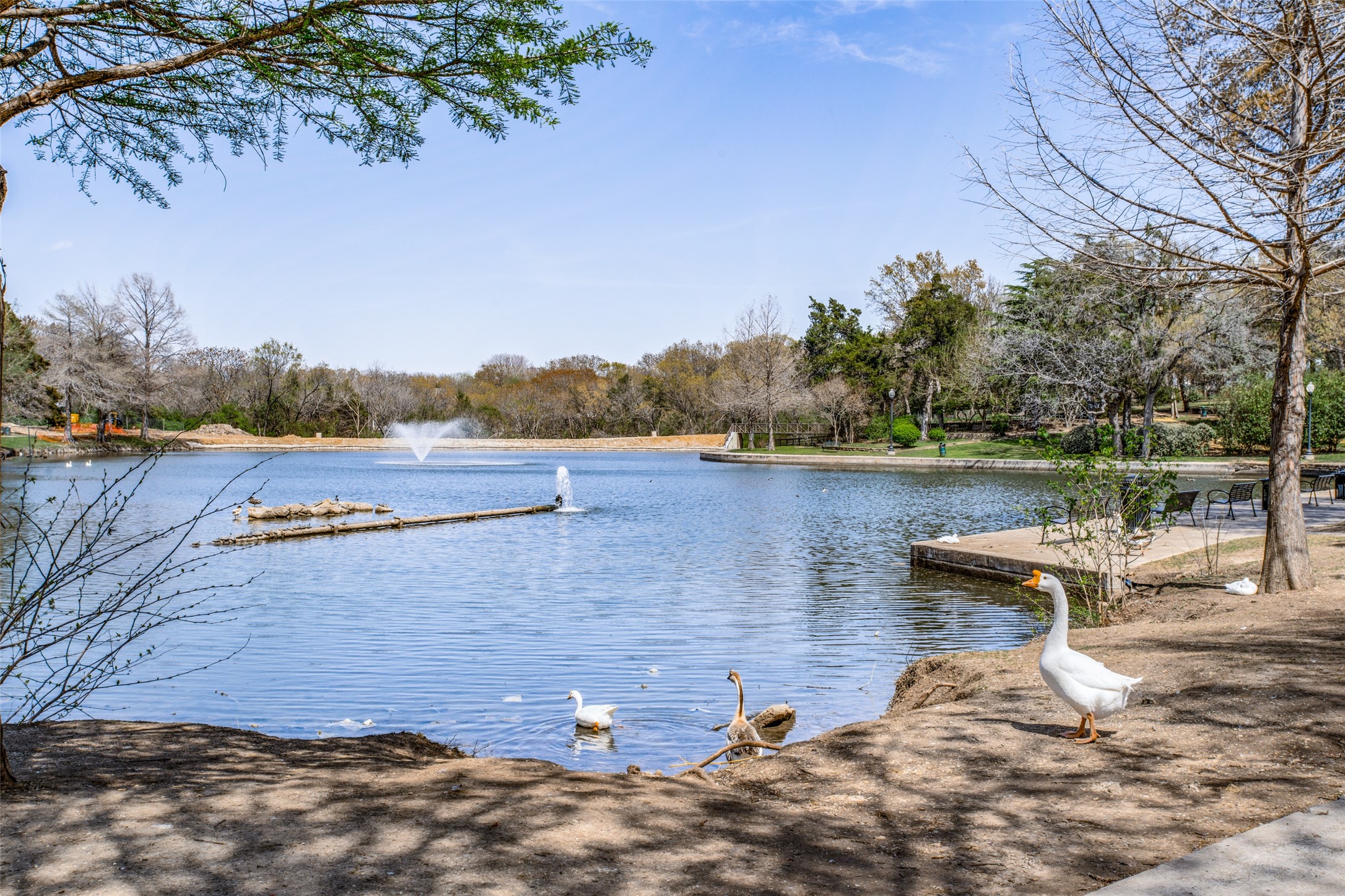 661 Bishop Heights Lane, Dallas, TX, 75208