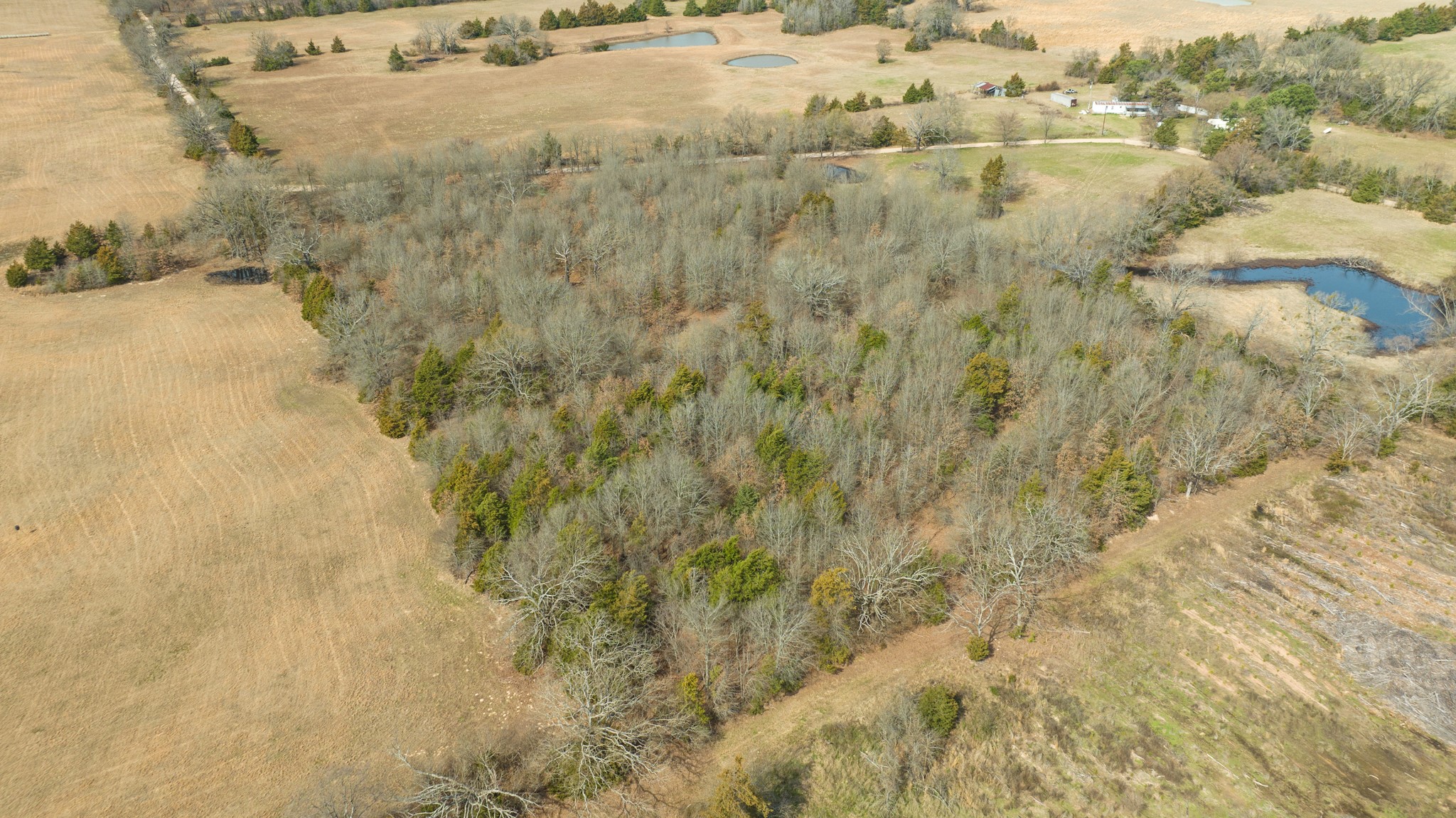 TBD County Road 1420, Bogata, TX, 75417