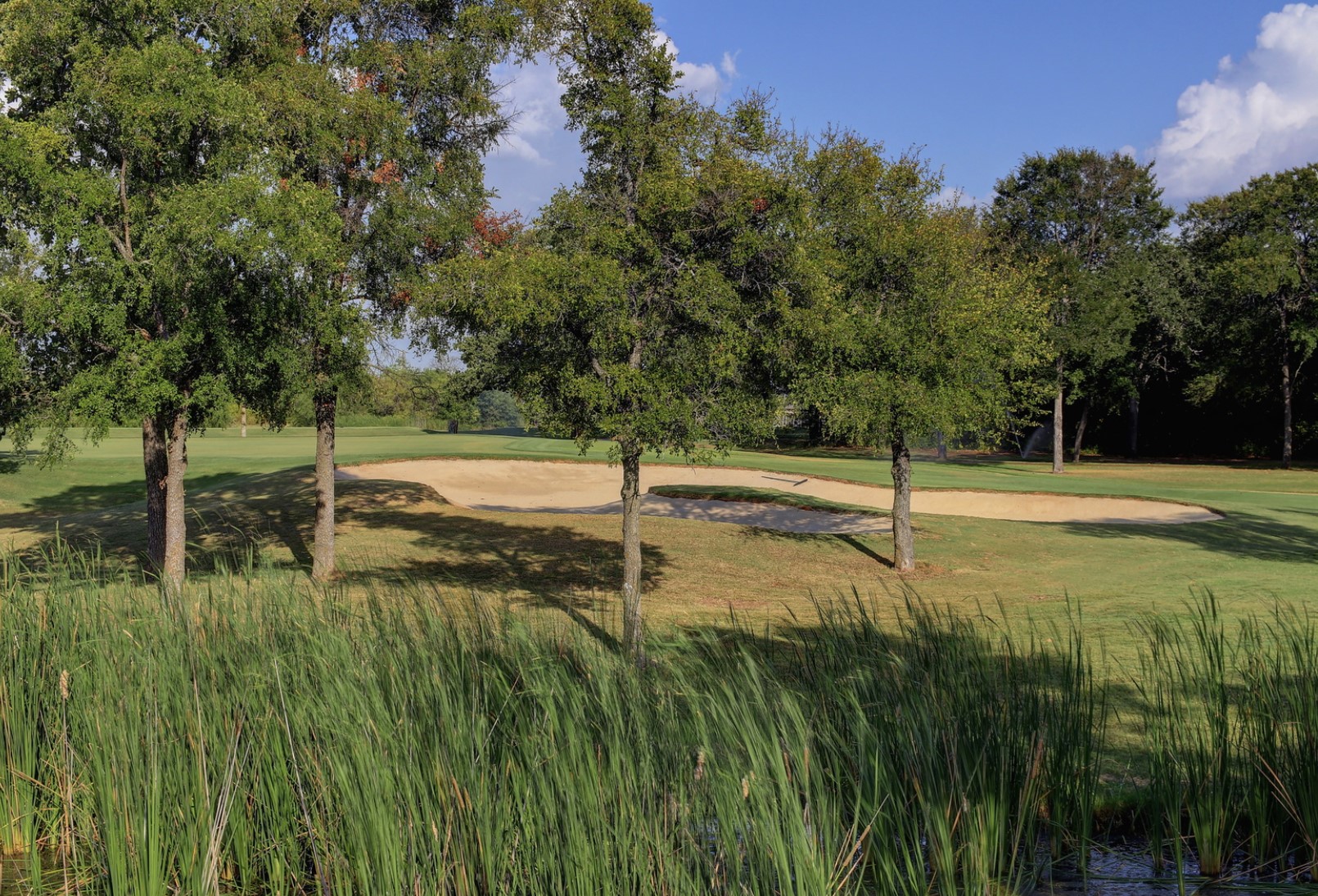 22034 Raintree, Whitney, TX, 76692