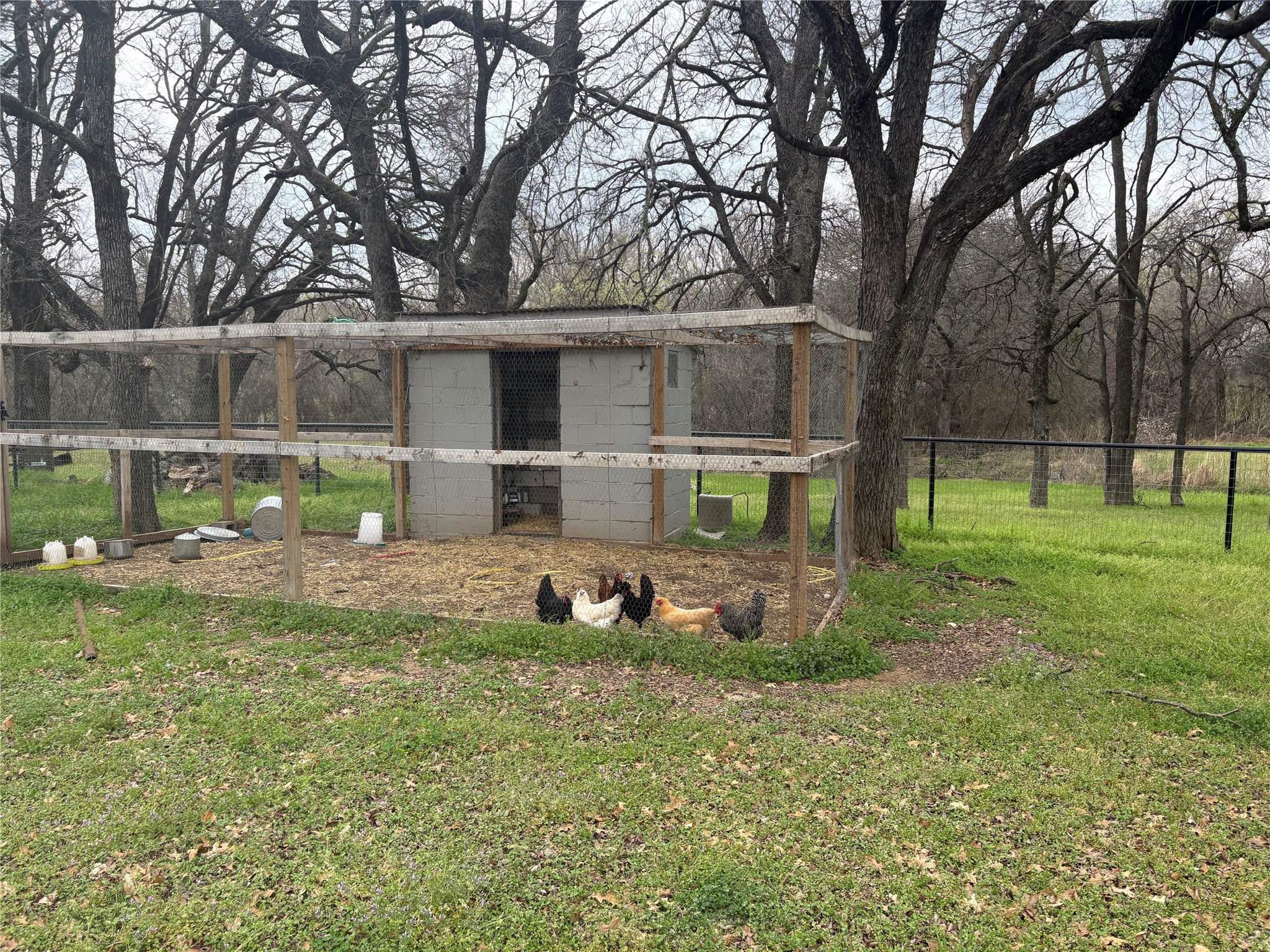 150 Ash Creek Court, Springtown, TX, 76082