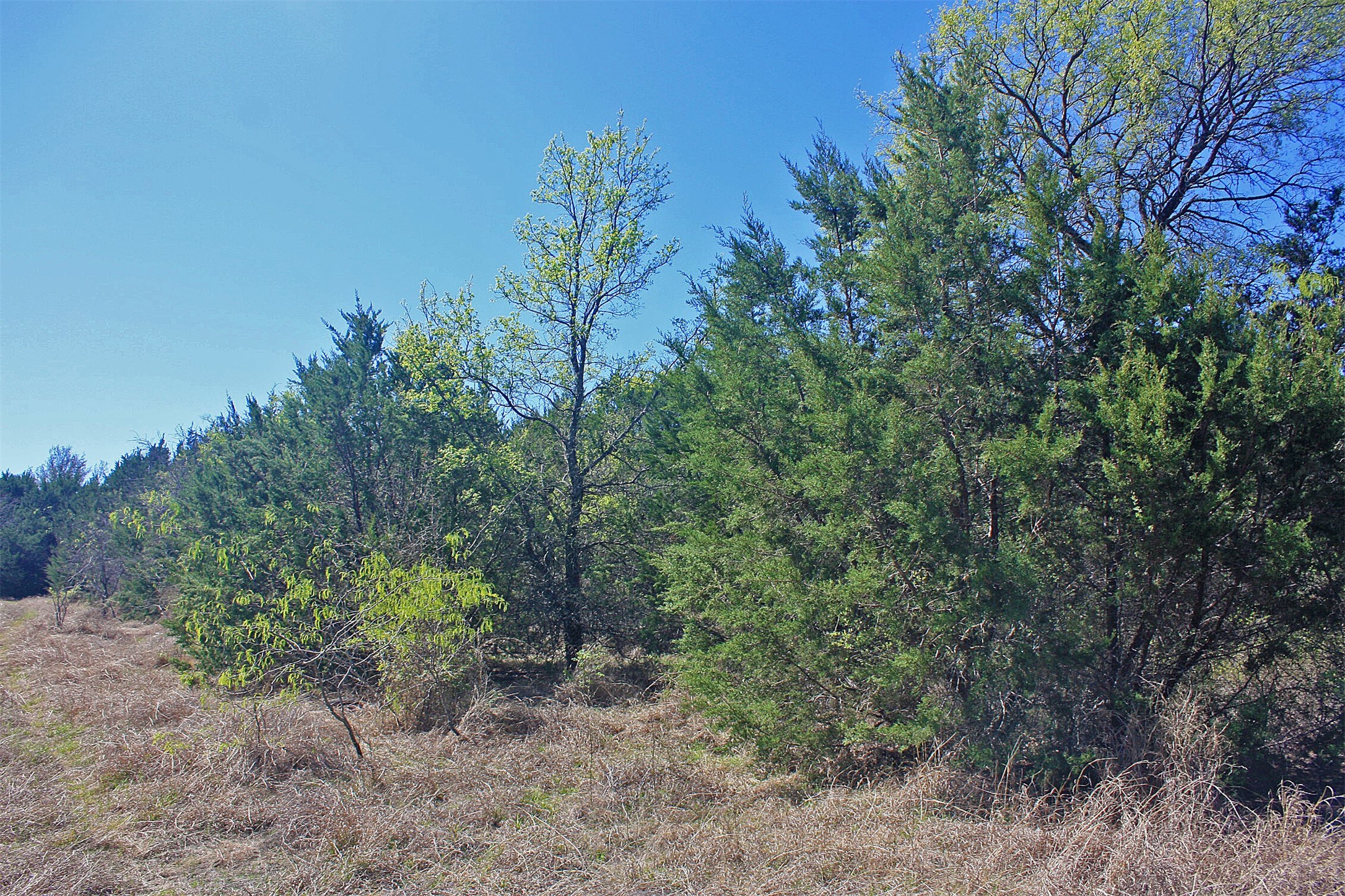 5274 Fm 2174, Cleburne, TX, 76033