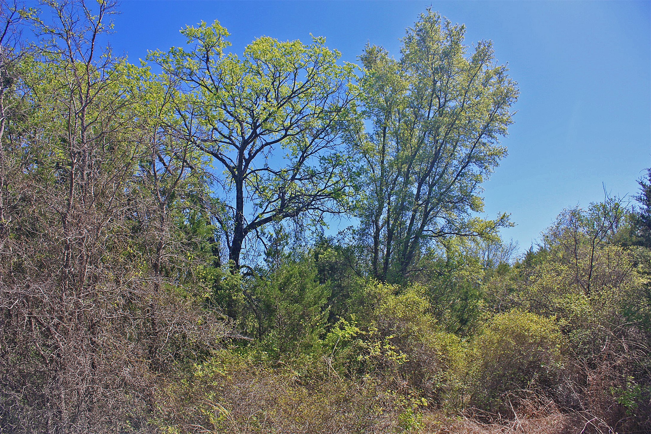 5274 Fm 2174, Cleburne, TX, 76033
