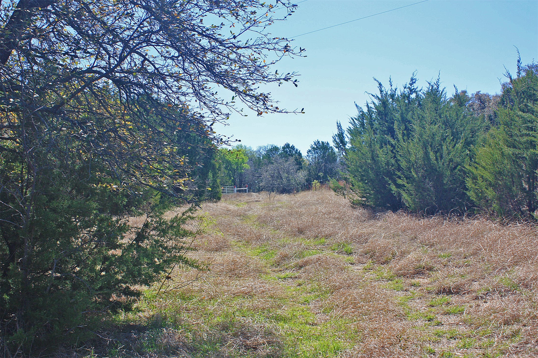 5274 Fm 2174, Cleburne, TX, 76033