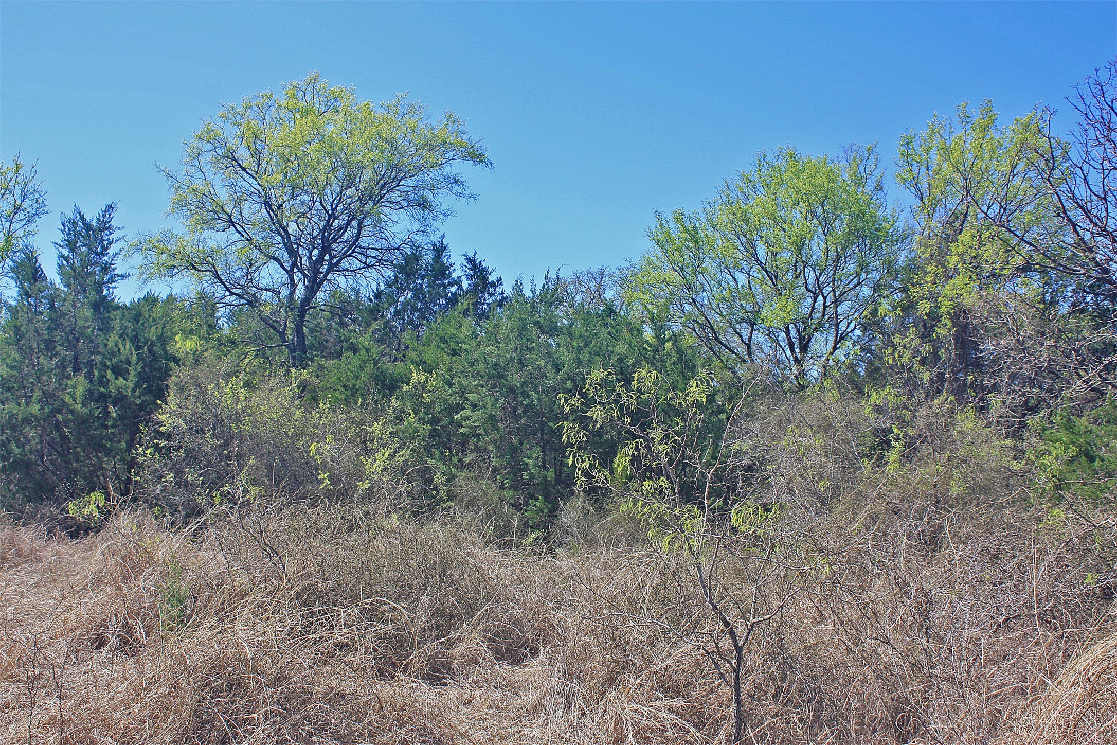 5274 Fm 2174, Cleburne, TX, 76033