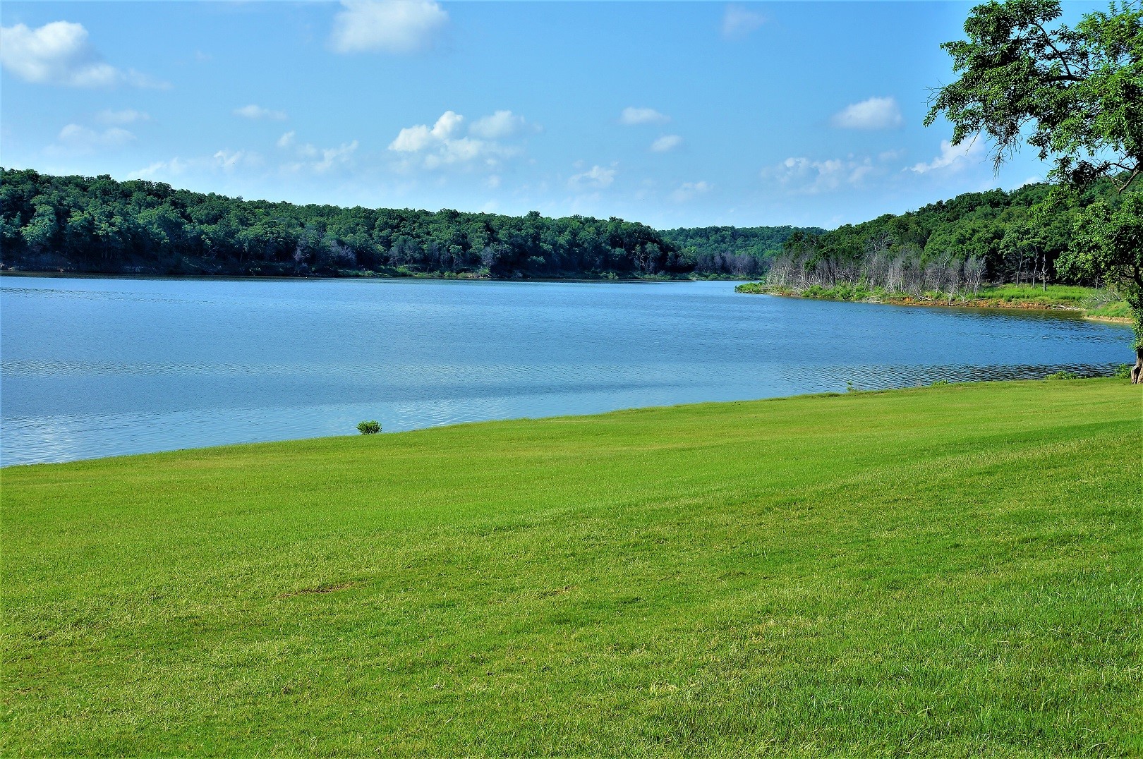 274 La Paloma Circle, Gordonville, TX, 76245