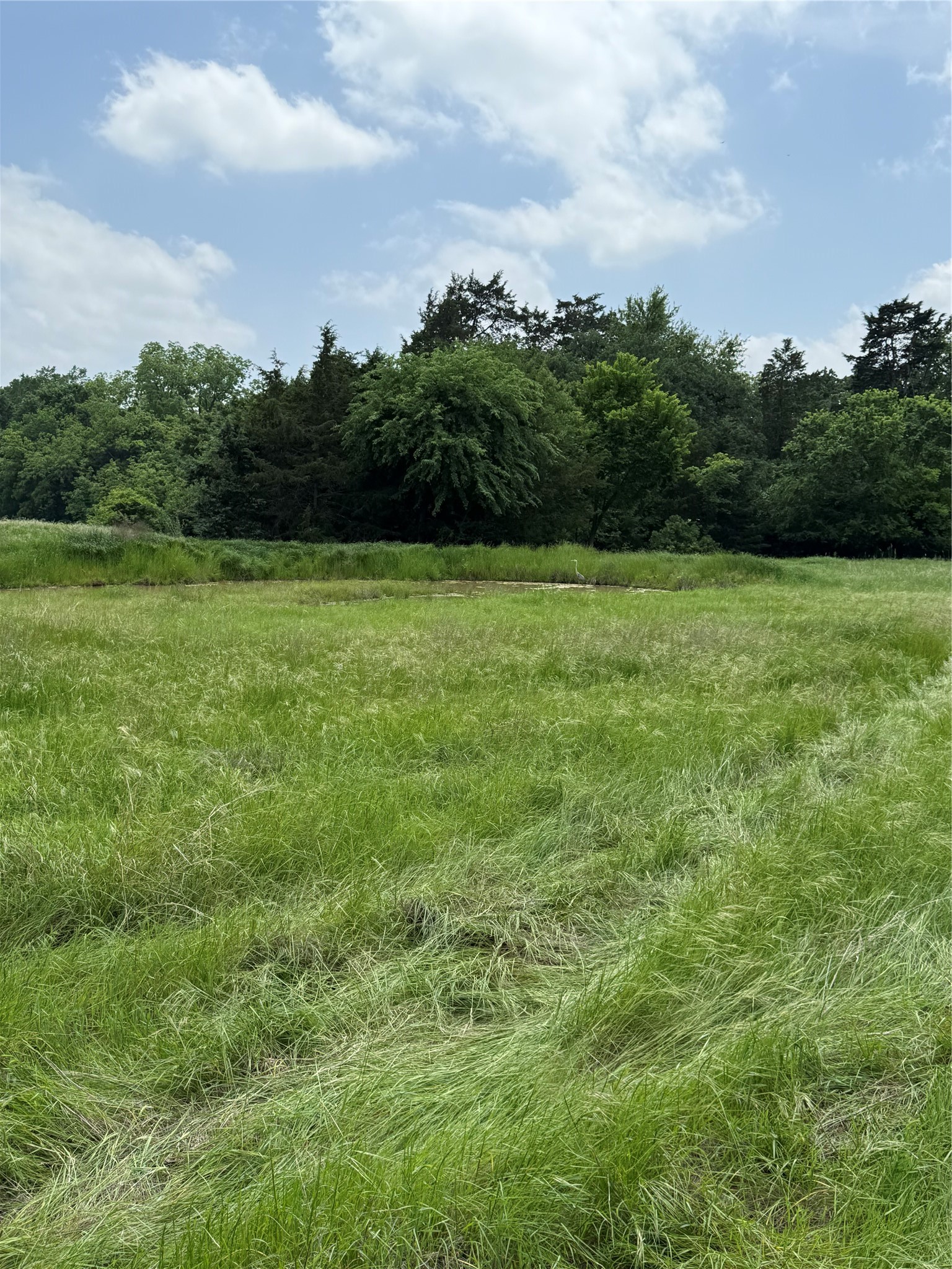 TBD N Fm 730, Decatur, TX, 76234