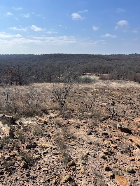 150 ac Hwy 16, Loving, TX, 76460