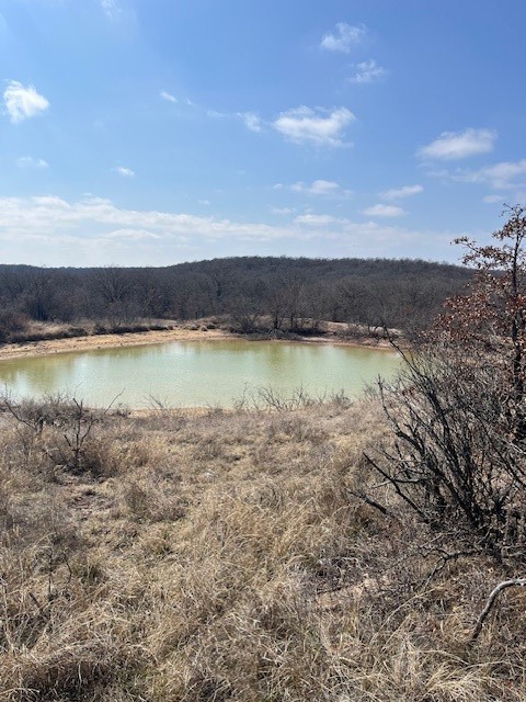 150 ac Hwy 16, Loving, TX, 76460