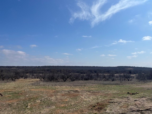 150 ac Hwy 16, Loving, TX, 76460