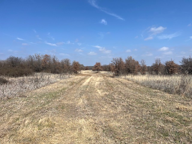 150 ac Hwy 16, Loving, TX, 76460