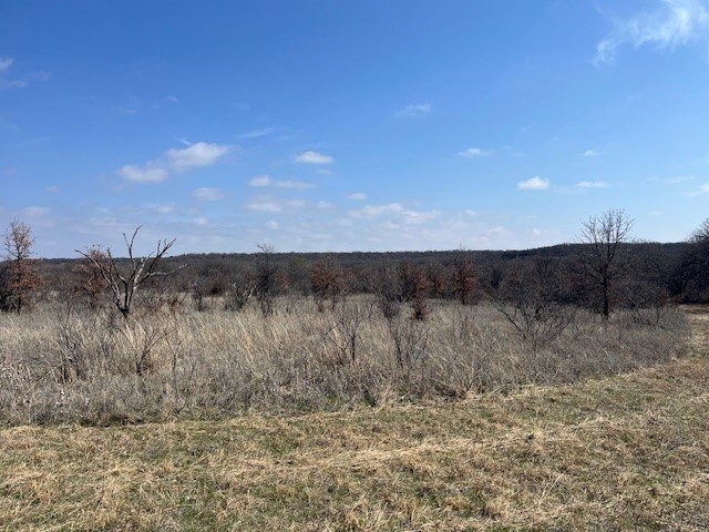 150 ac Hwy 16, Loving, TX, 76460