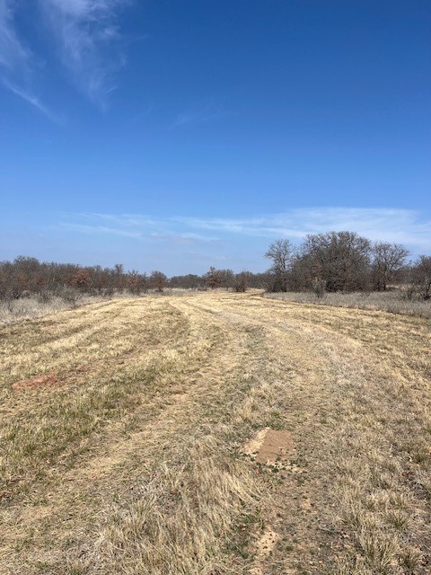150 ac Hwy 16, Loving, TX, 76460