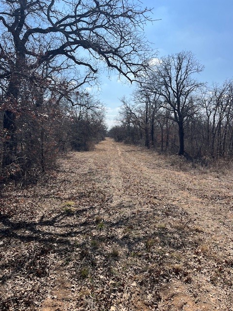 150 ac Hwy 16, Loving, TX, 76460