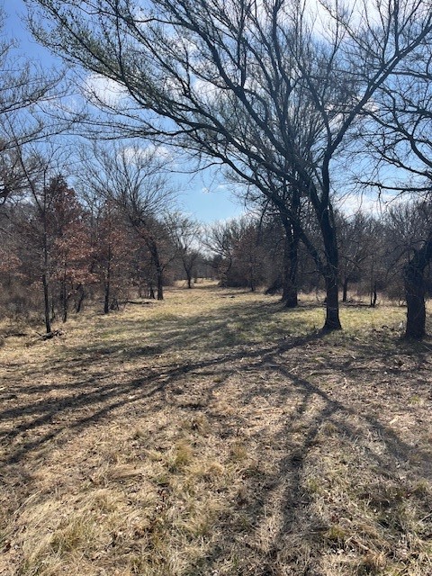 150 ac Hwy 16, Loving, TX, 76460
