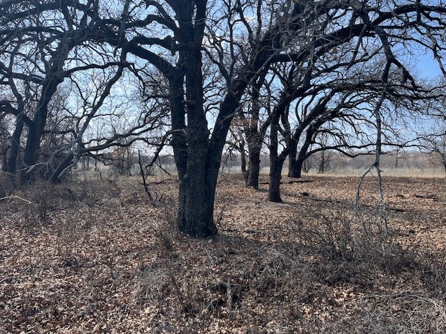 150 ac Hwy 16, Loving, TX, 76460