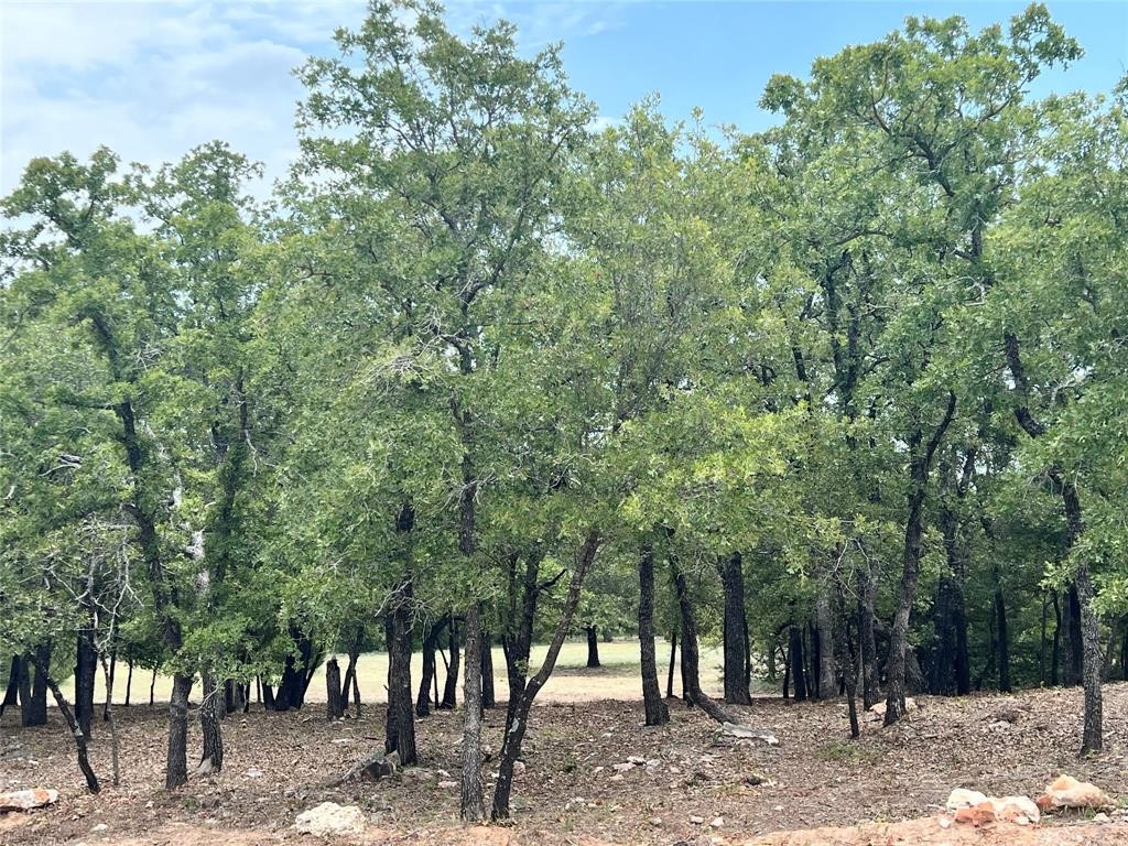 310 Rolling Bend, Alvord, TX, 76225