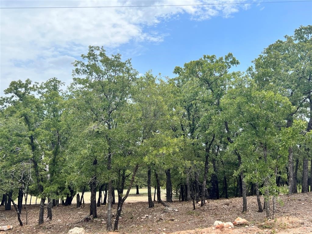 310 Rolling Bend, Alvord, TX, 76225