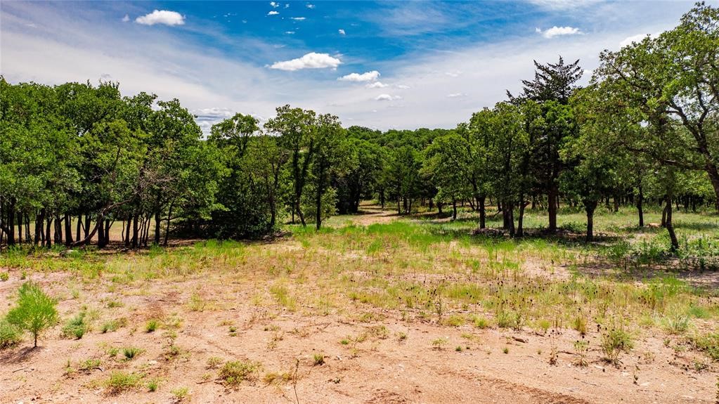 310 Rolling Bend, Alvord, TX, 76225