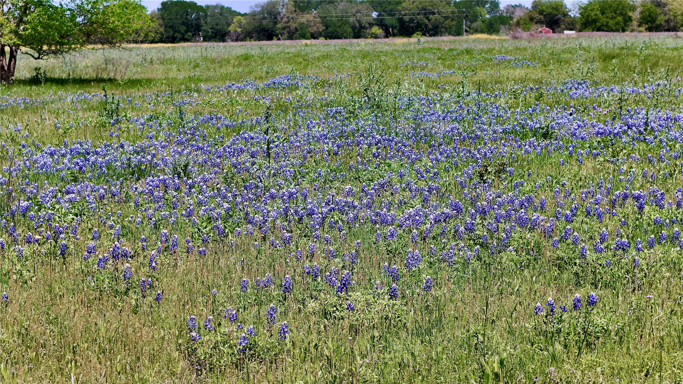 Property photo 03 of 2031-C County Road 3310 Valley, Mills, TX 76689 | MLS #21195345