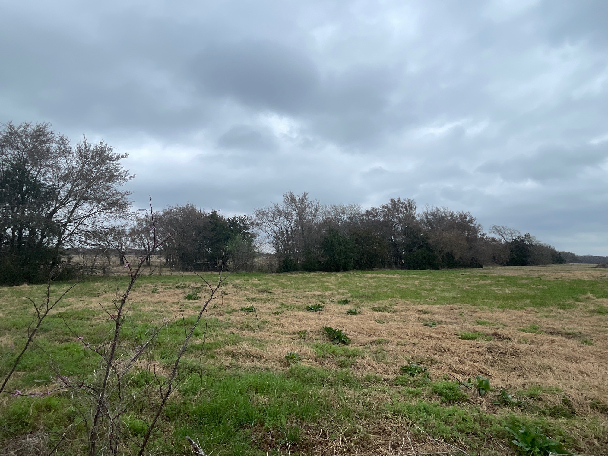5525 E E Highway 164, Groesbeck, TX, 76642