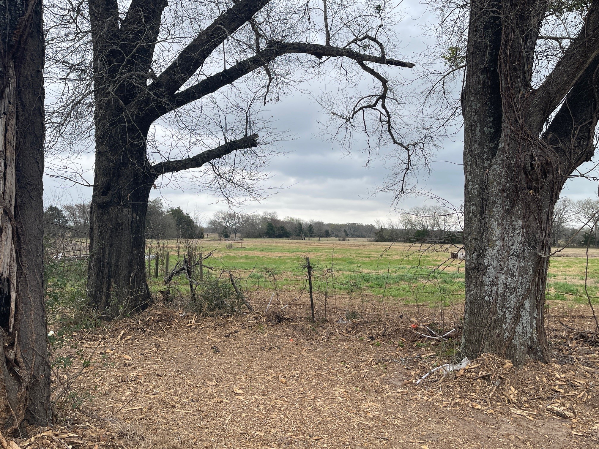5525 E E Highway 164, Groesbeck, TX, 76642
