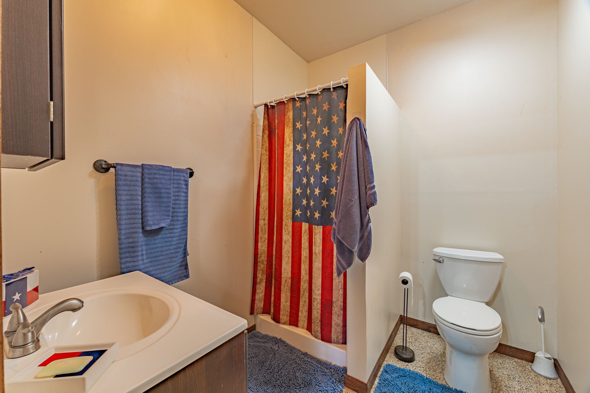 10008 Orchards Boulevard, Cleburne, TX, 76033