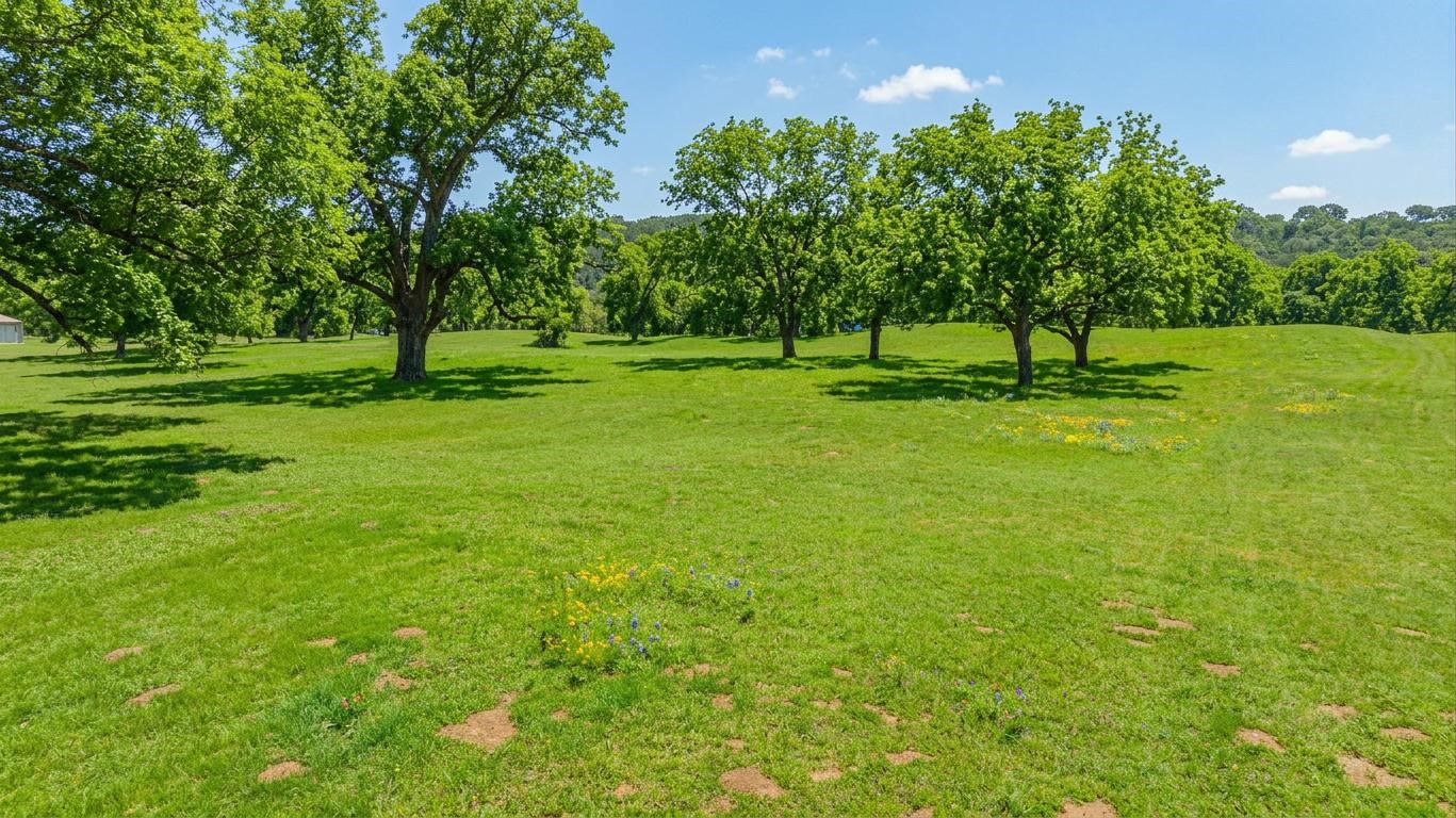 10008 Orchards Boulevard, Cleburne, TX, 76033