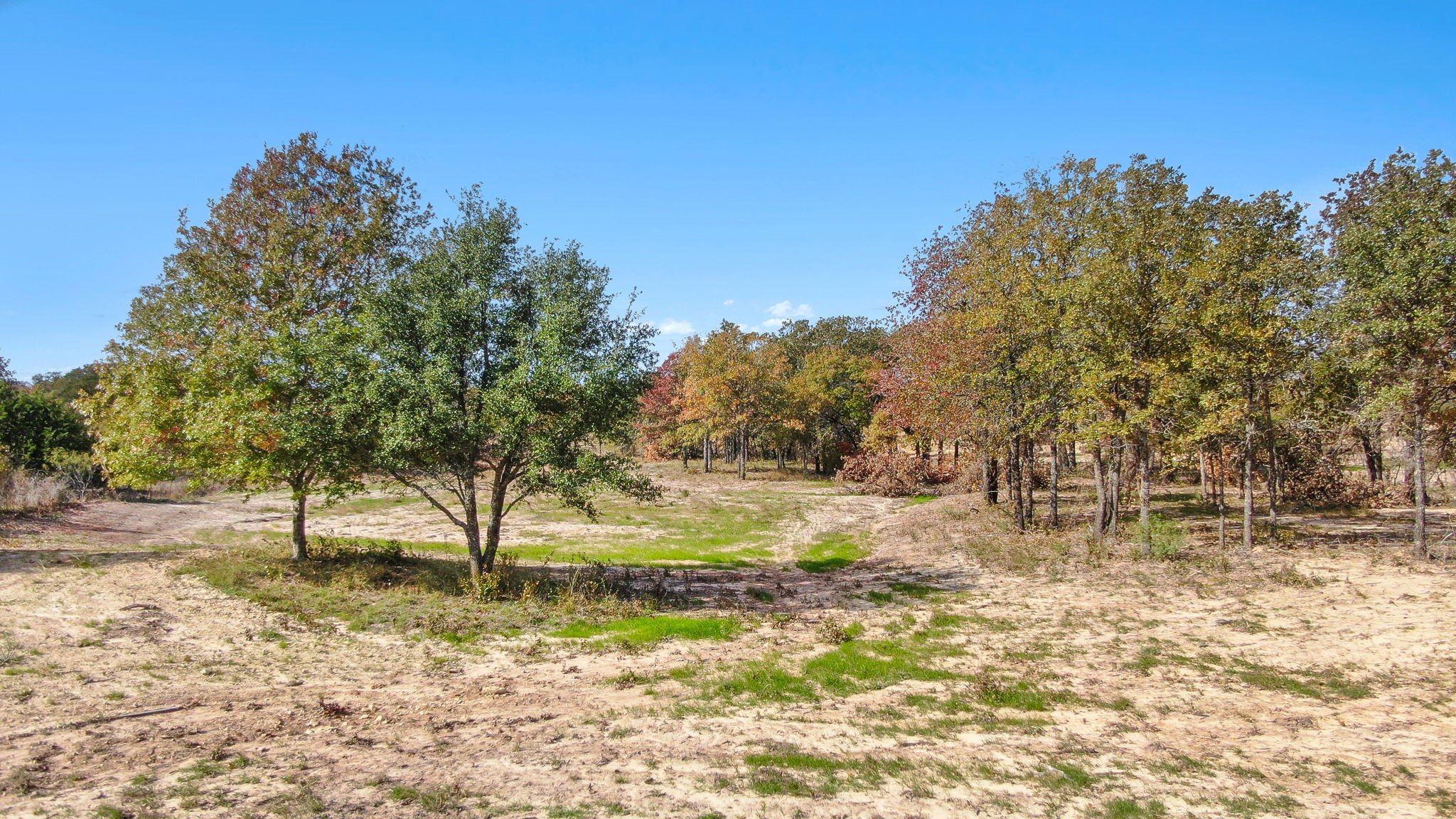 302 Perkins, Poolville, TX, 76487