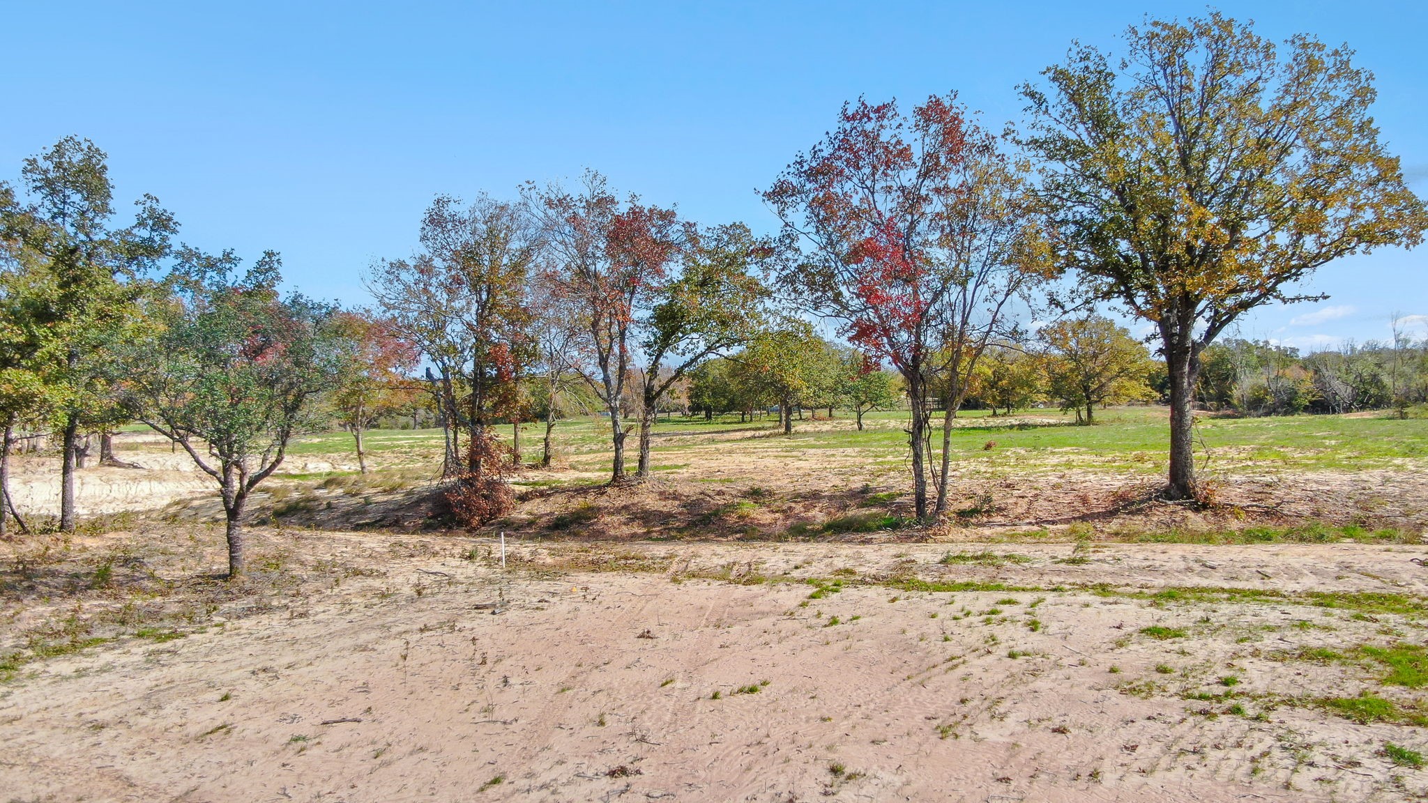 302 Perkins, Poolville, TX, 76487