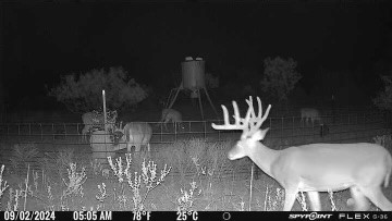 TBD CR 218, Seymour, TX, 76380
