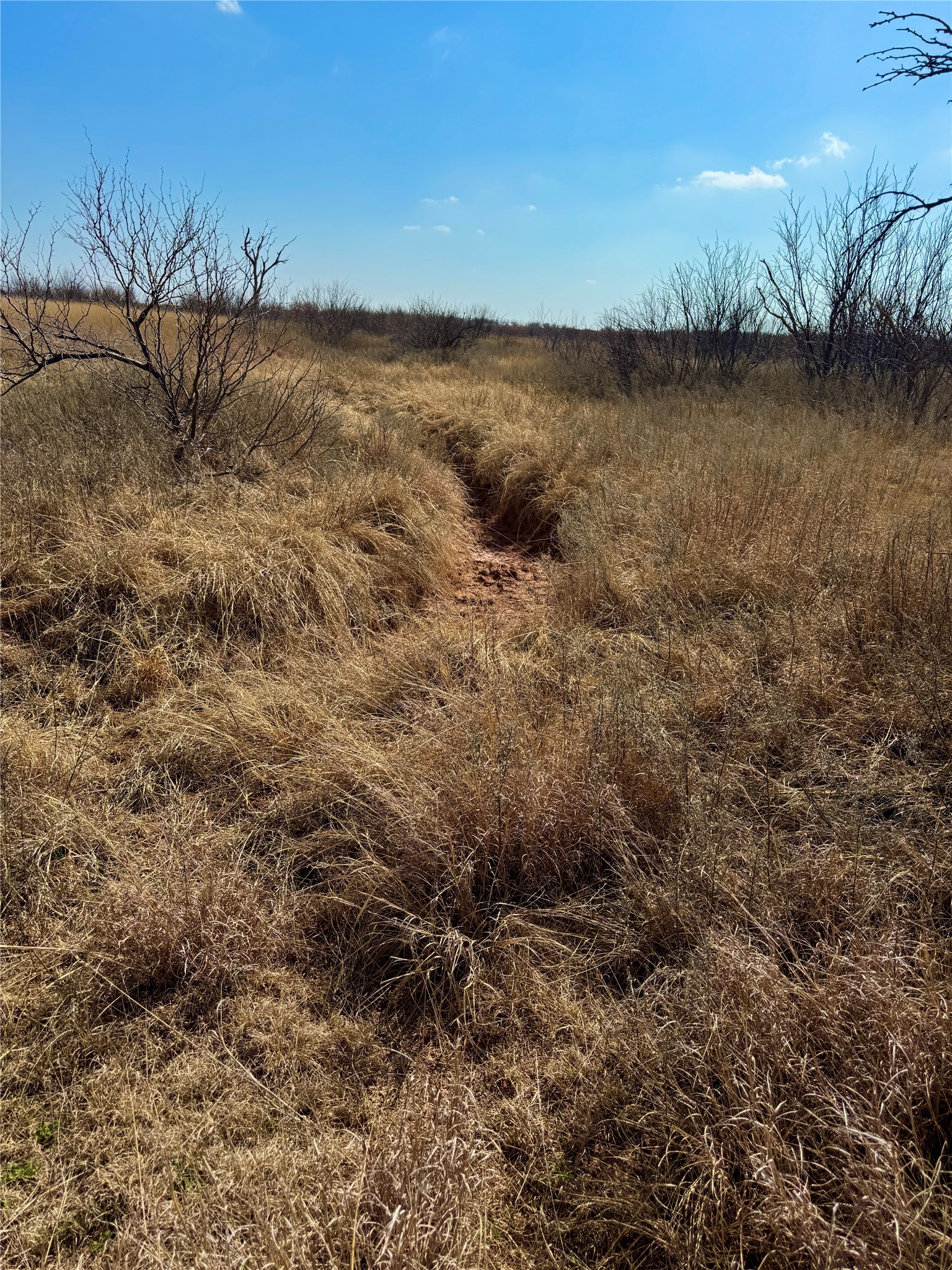 TBD CR 218, Seymour, TX, 76380