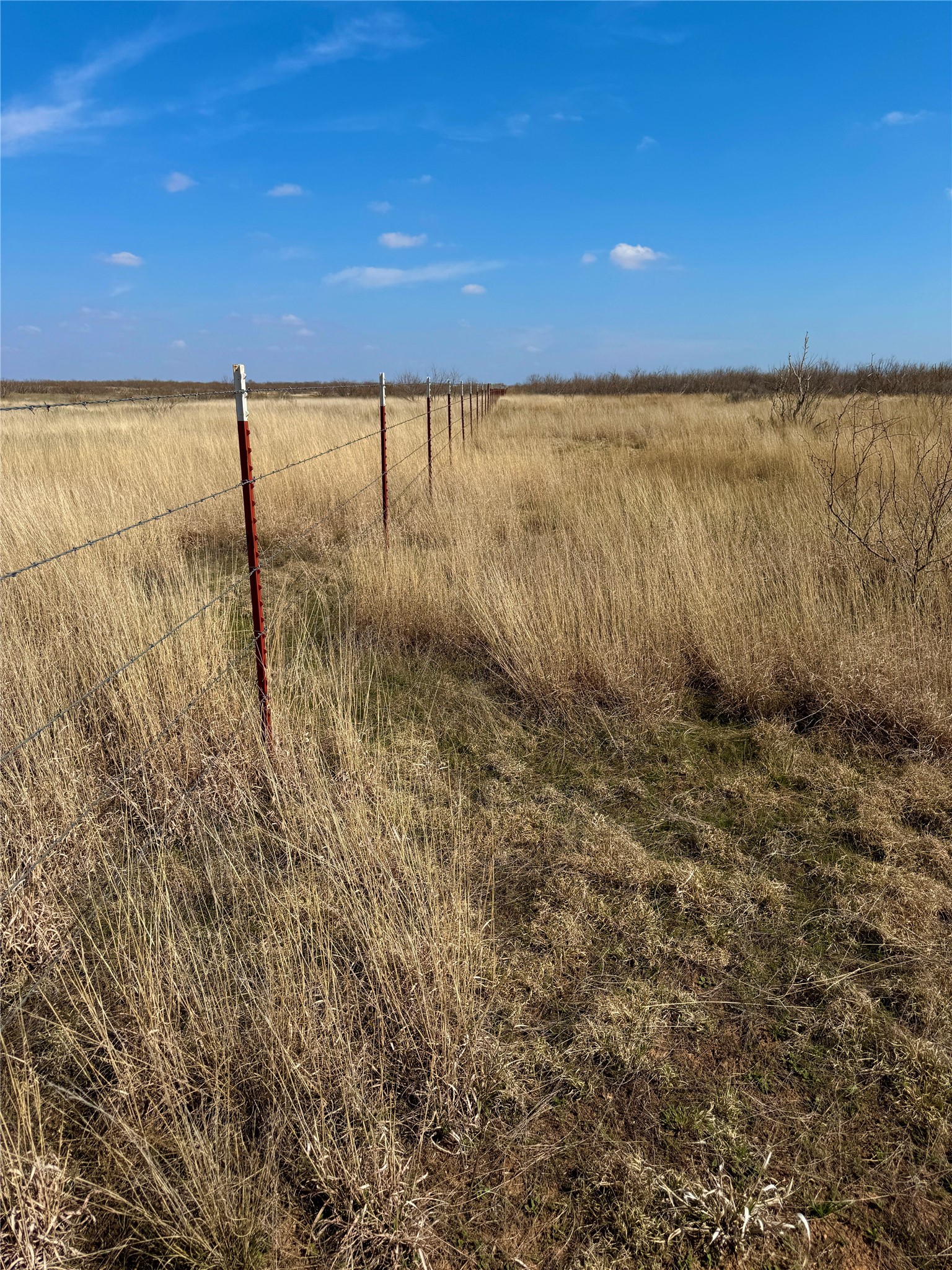 TBD CR 218, Seymour, TX, 76380