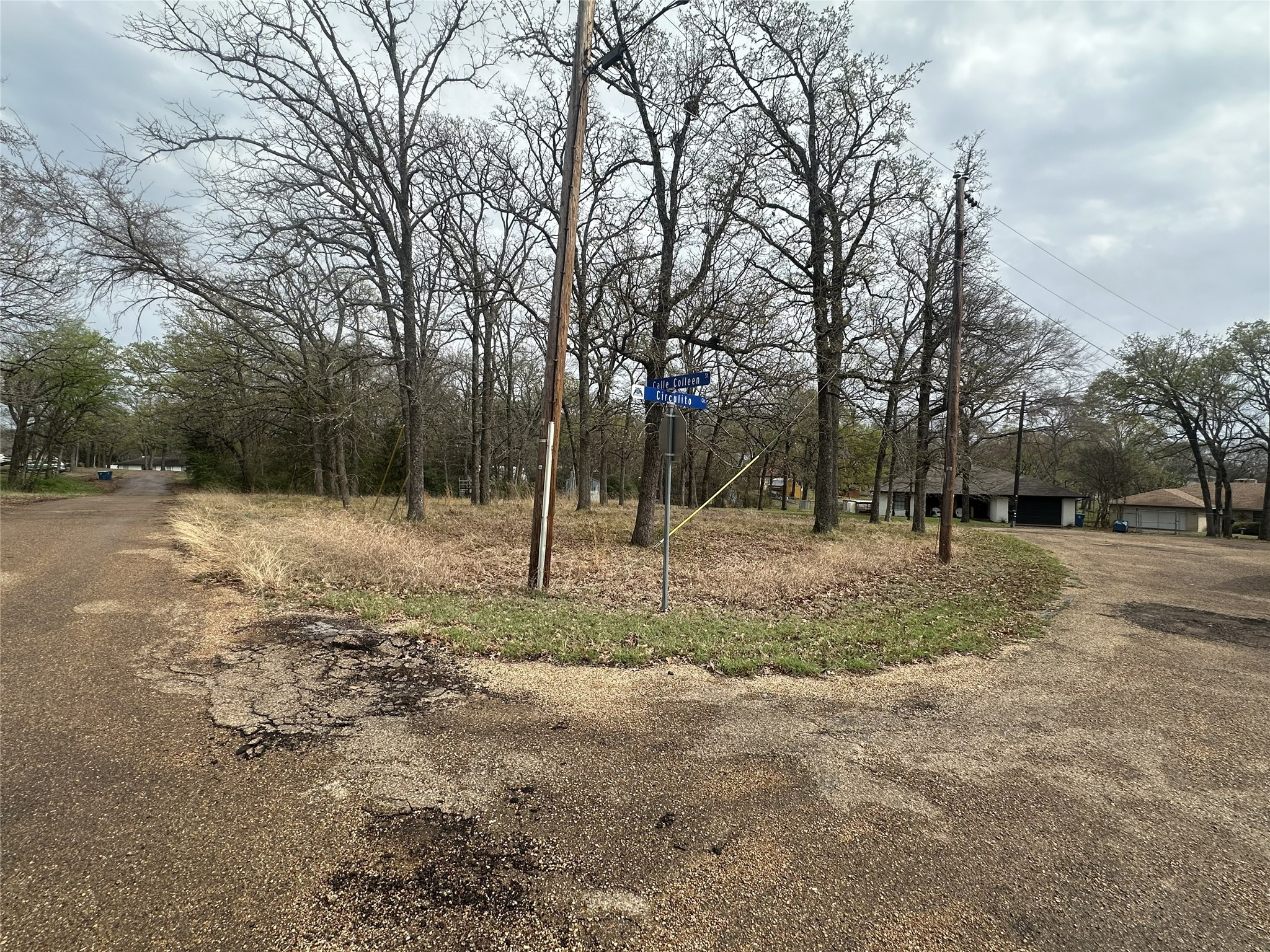 106 Calle Colleen, Mabank, TX, 75156
