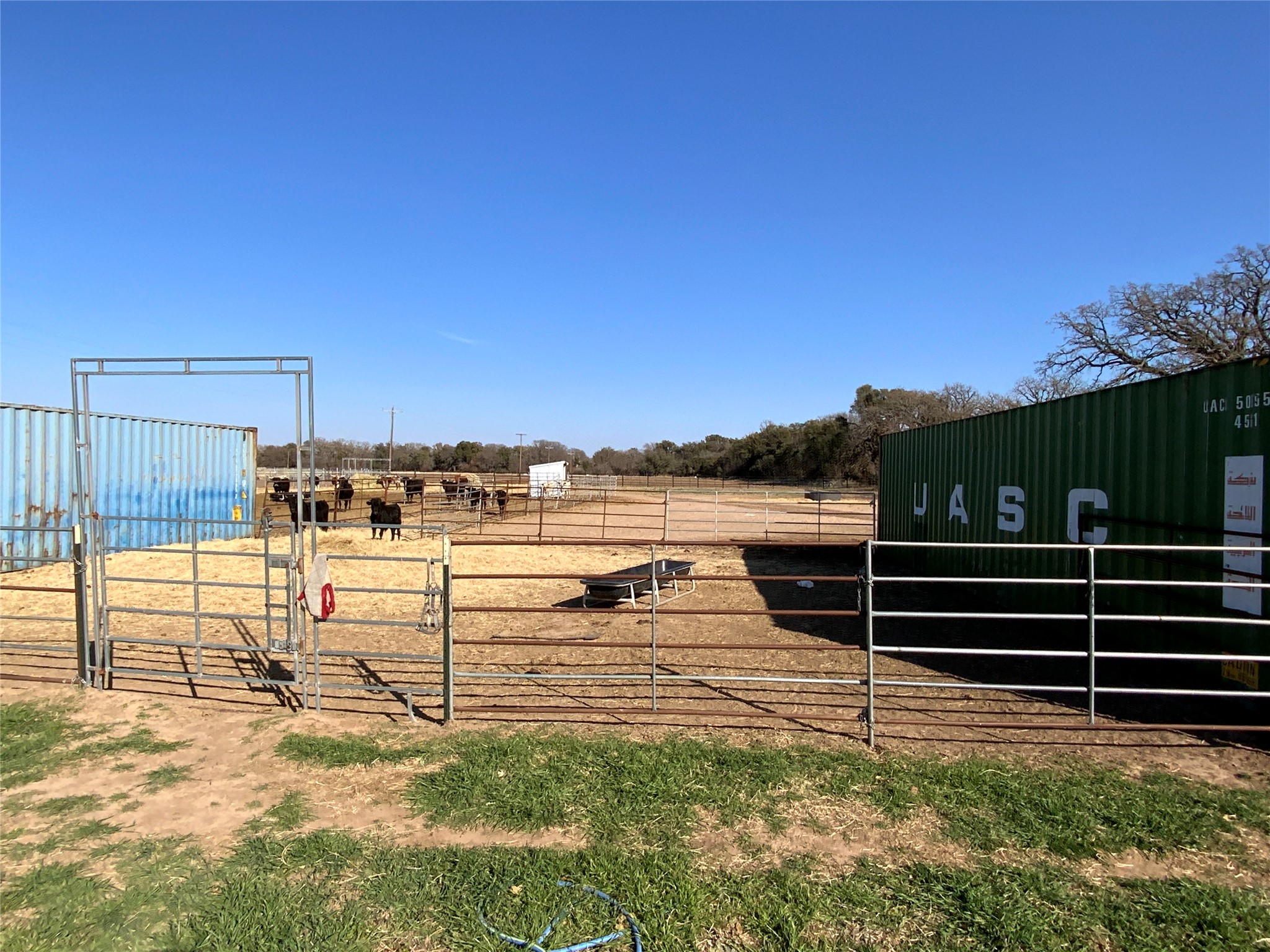 1595 County Road 131, Rising Star, TX, 76471