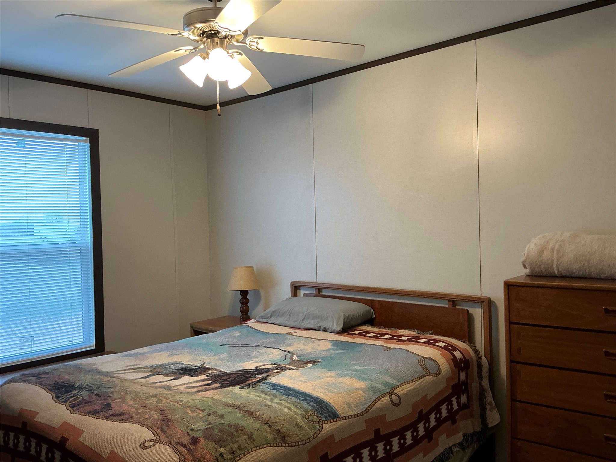 1595 County Road 131, Rising Star, TX, 76471