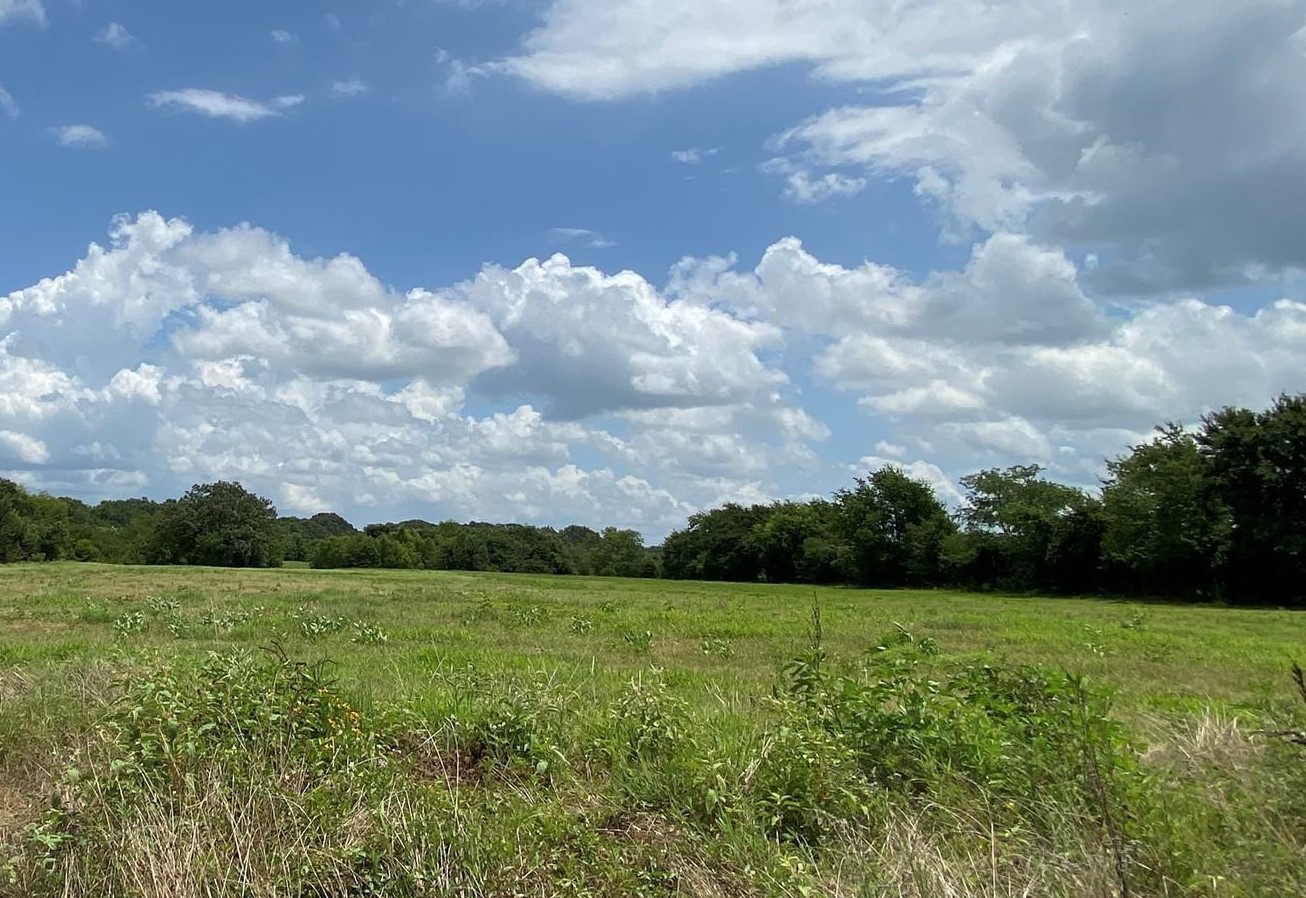 30 Acre County Road 2425, Como, TX, 75431