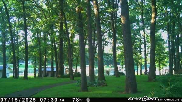Property photo 03 of 395 County Road 1780 Road, Yantis, TX 75497 | MLS #21203023