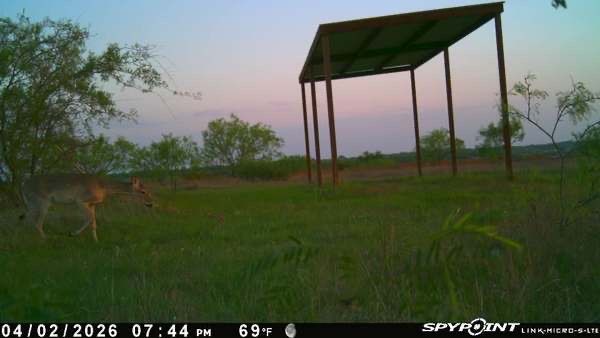 TBD 1 CR 343 Road, Dublin, TX, 76446