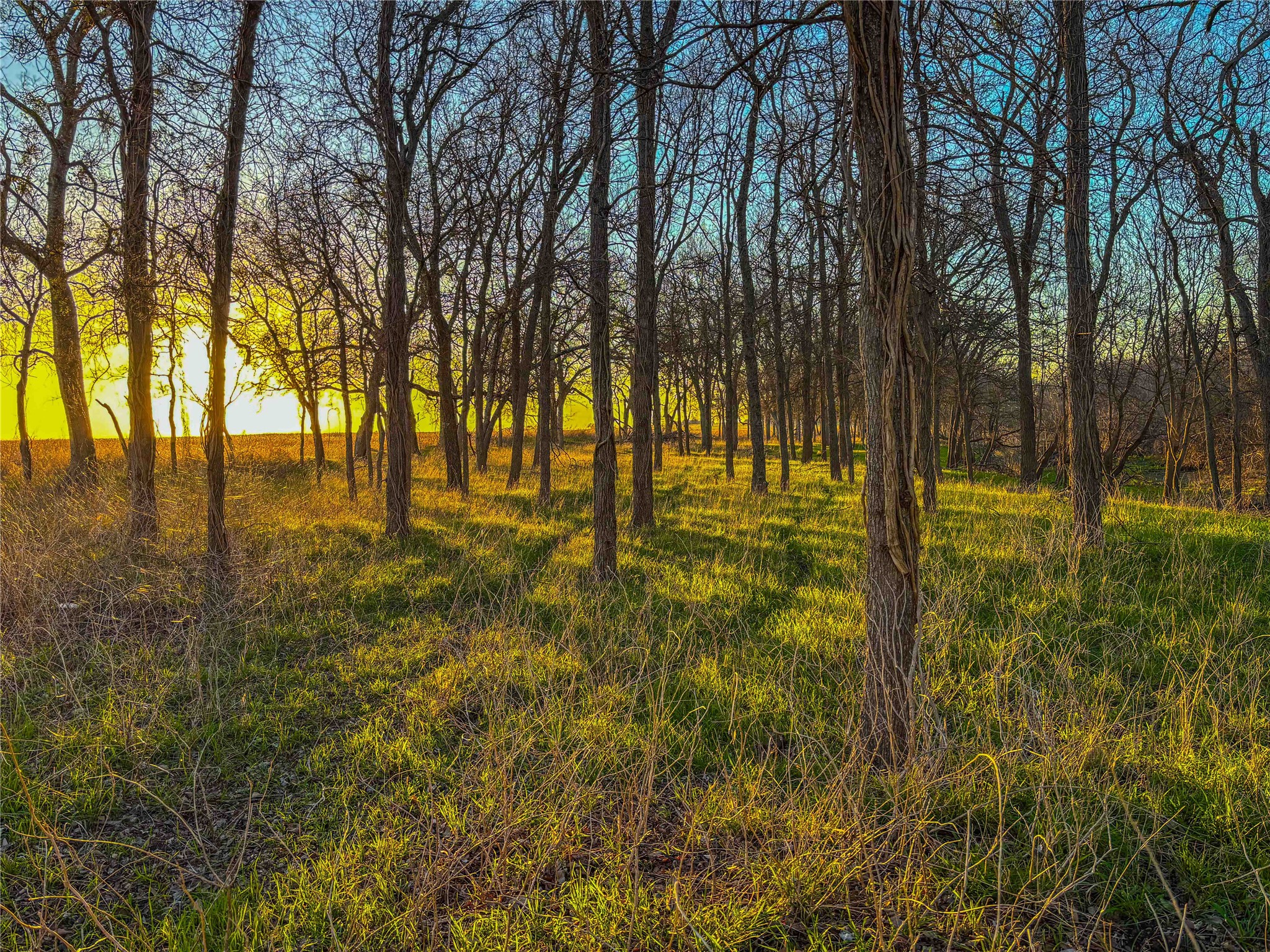 TBD Round Hall Road, Holland, TX, 76534