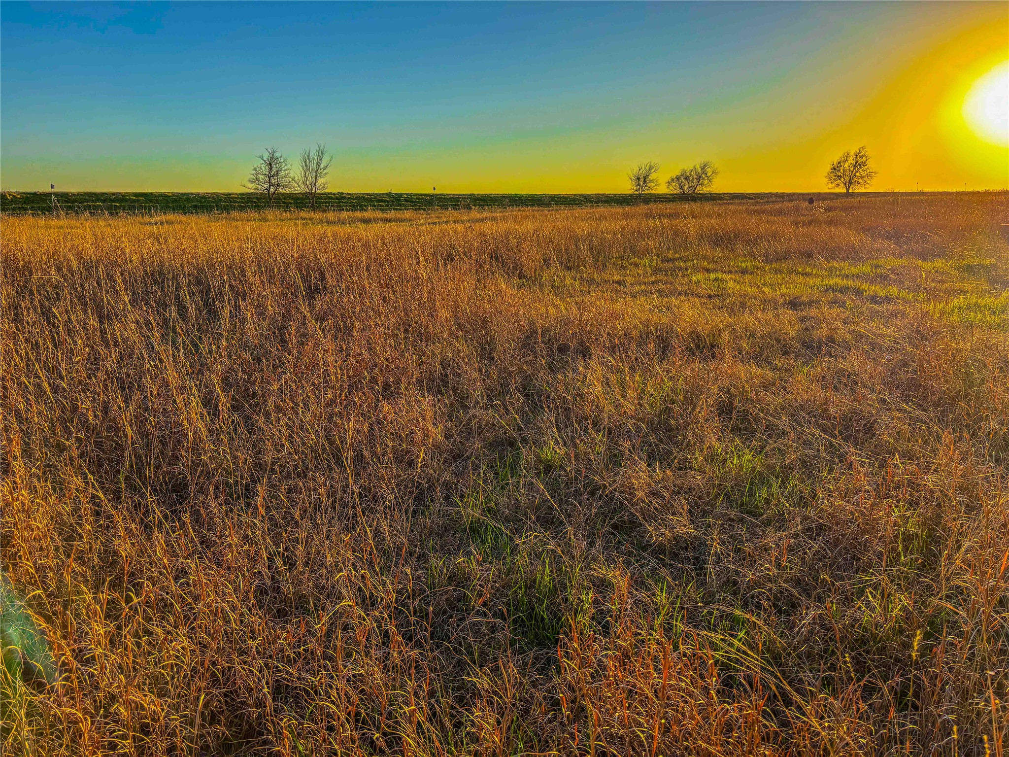 TBD Round Hall Road, Holland, TX, 76534