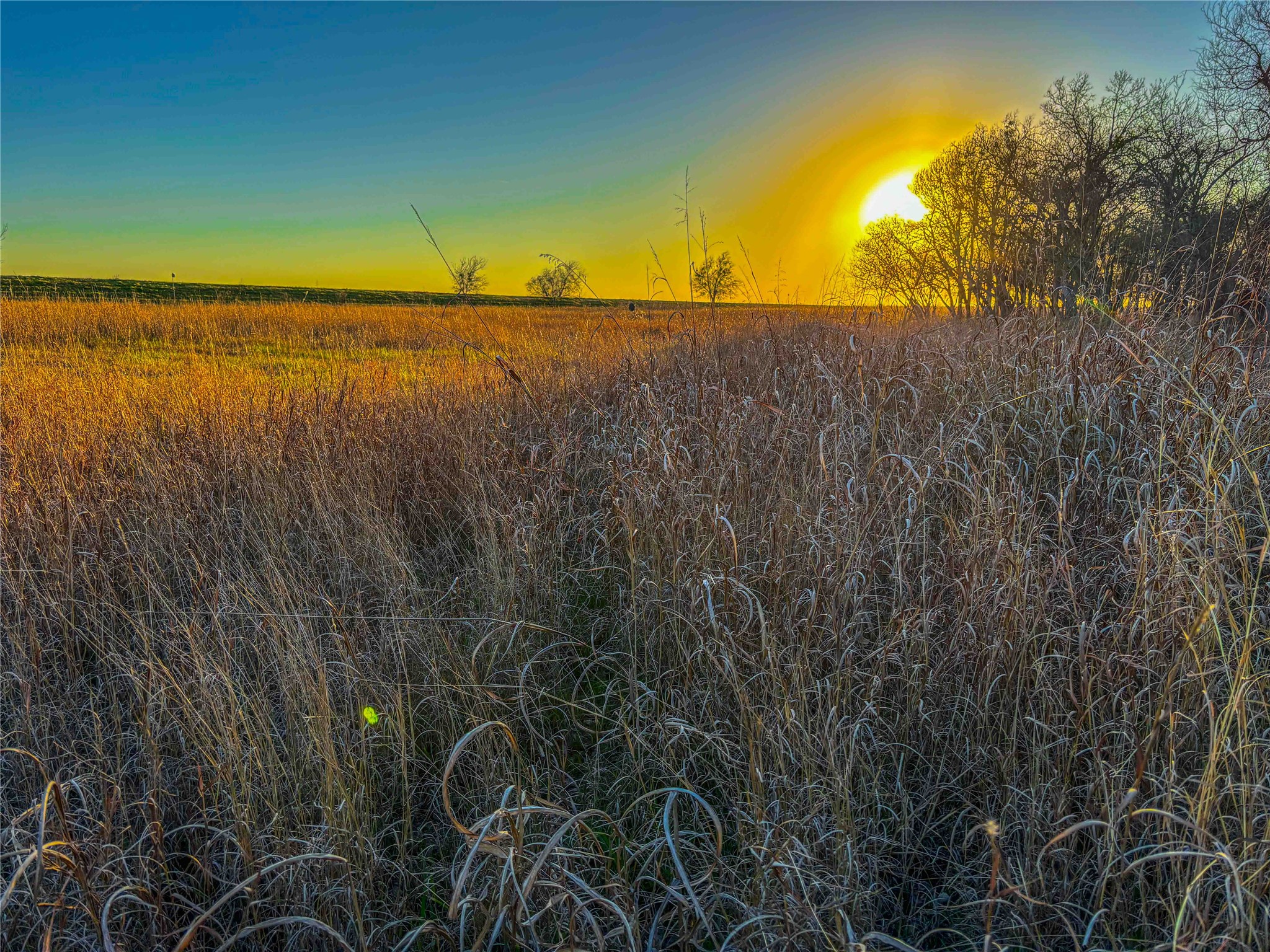TBD Round Hall Road, Holland, TX, 76534