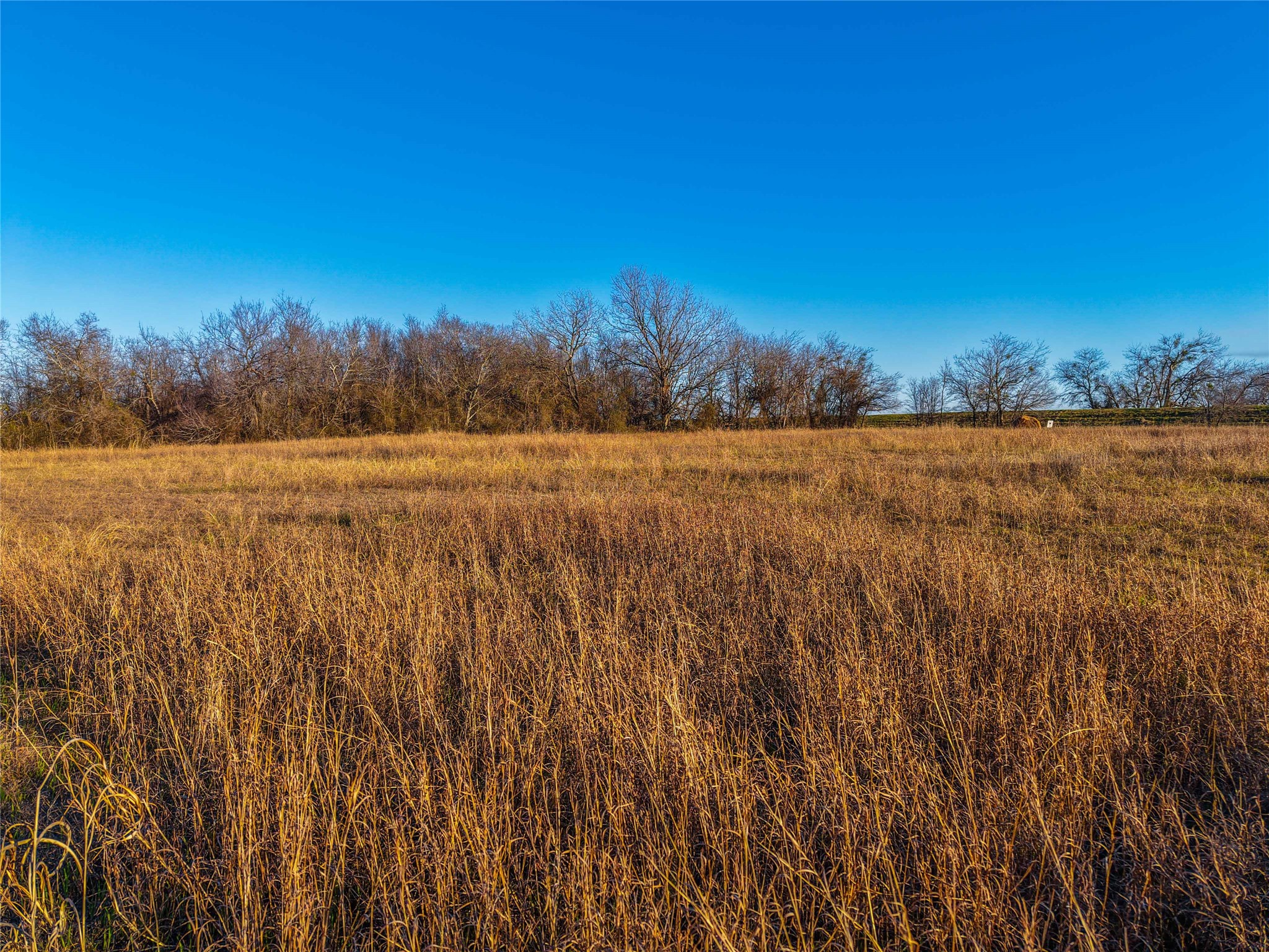 TBD Round Hall Road, Holland, TX, 76534