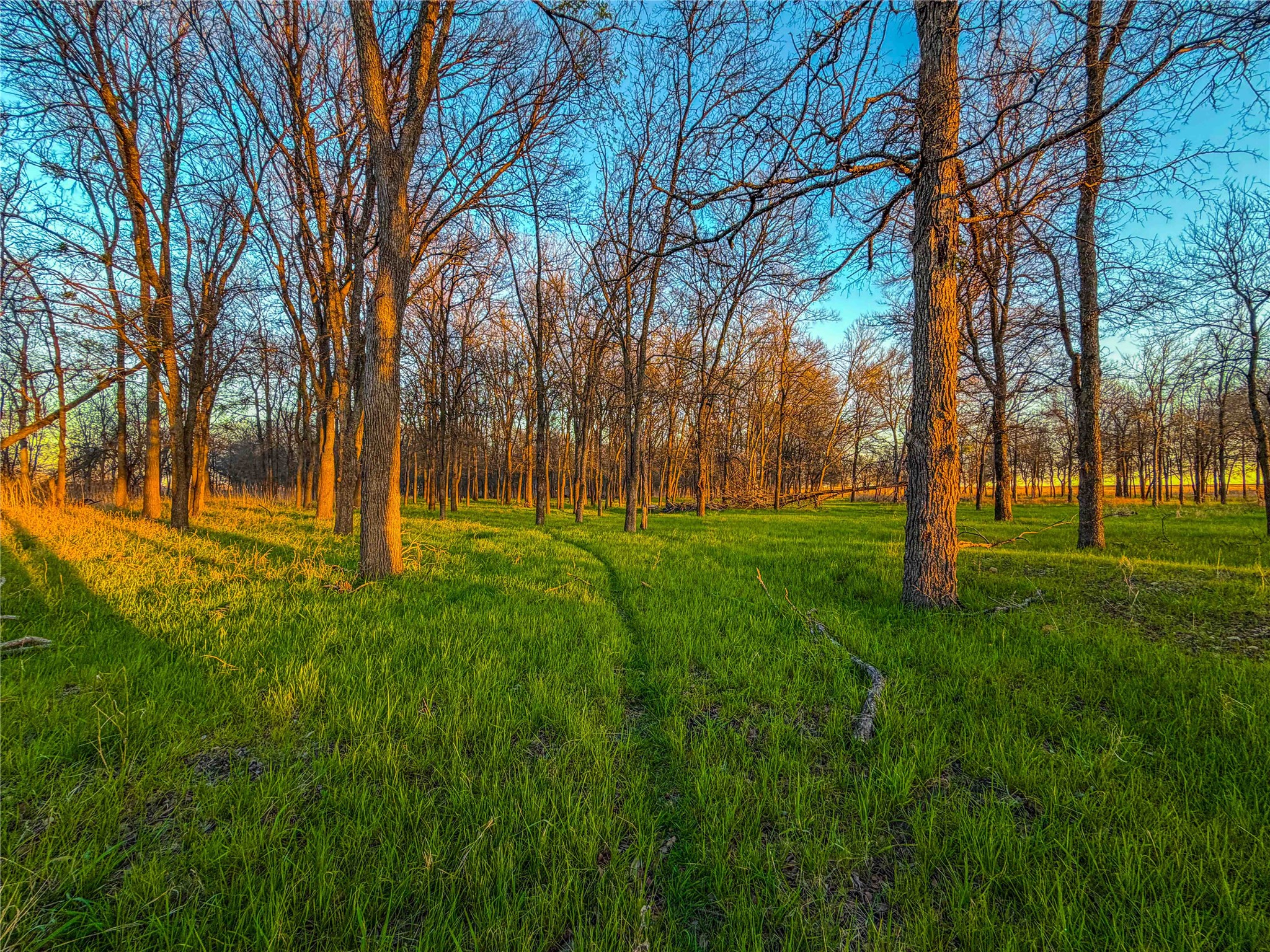 TBD Round Hall Road, Holland, TX, 76534
