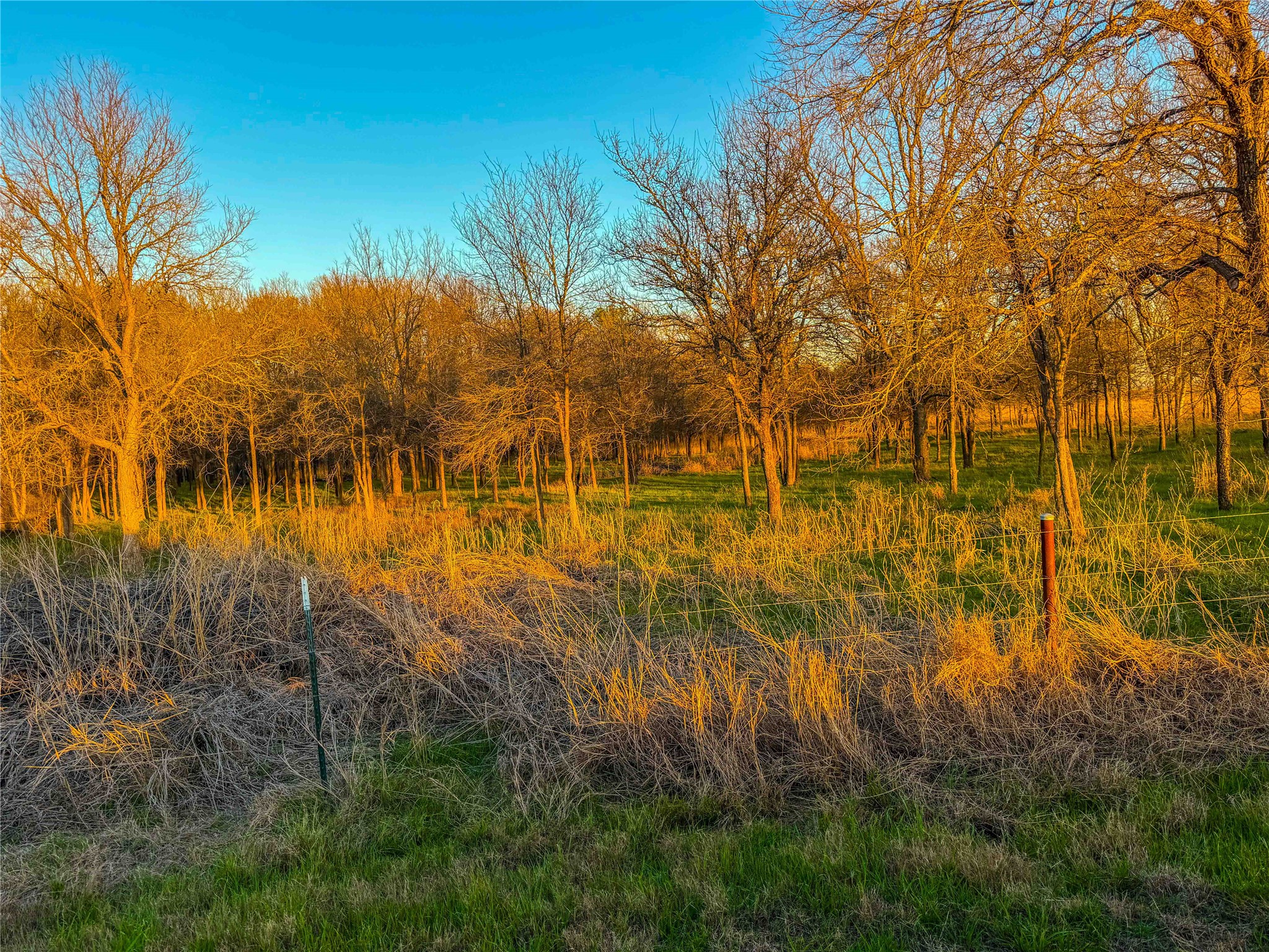 TBD Round Hall Road, Holland, TX, 76534