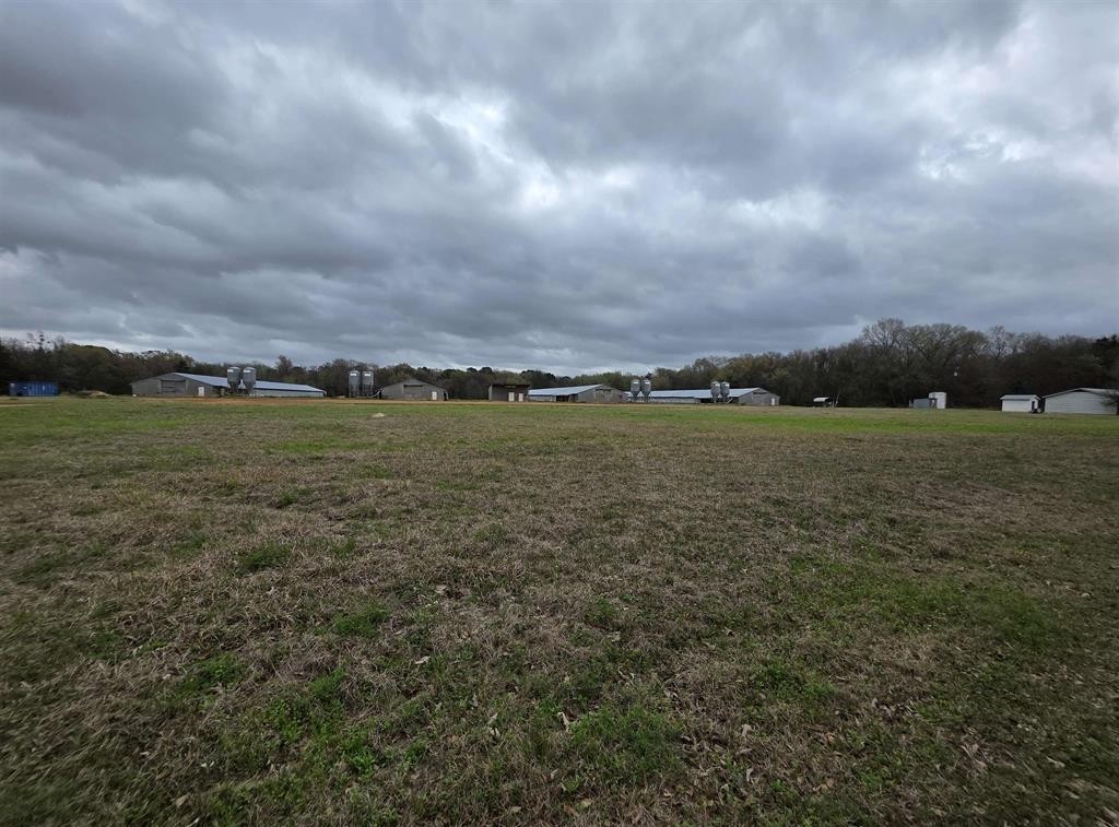 1886 Opossum Rd, Pittsburg, TX, 75686