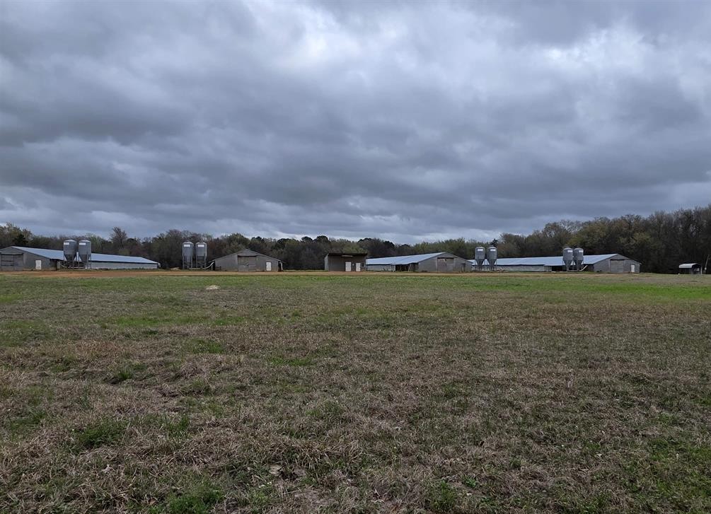 1886 Opossum Rd, Pittsburg, TX, 75686