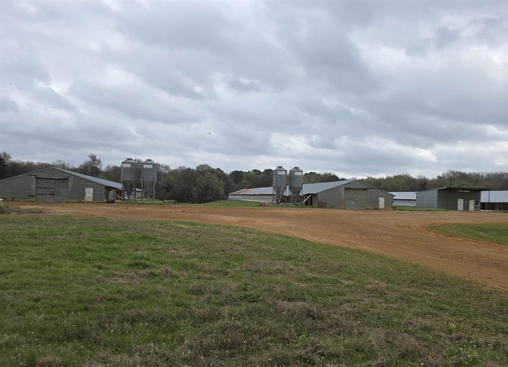 1886 Opossum Rd, Pittsburg, TX, 75686