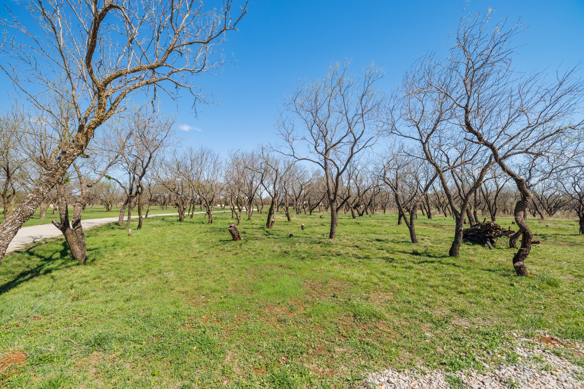 3445 County Road 337, Early, TX, 76802